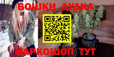 стафф Новозыбков