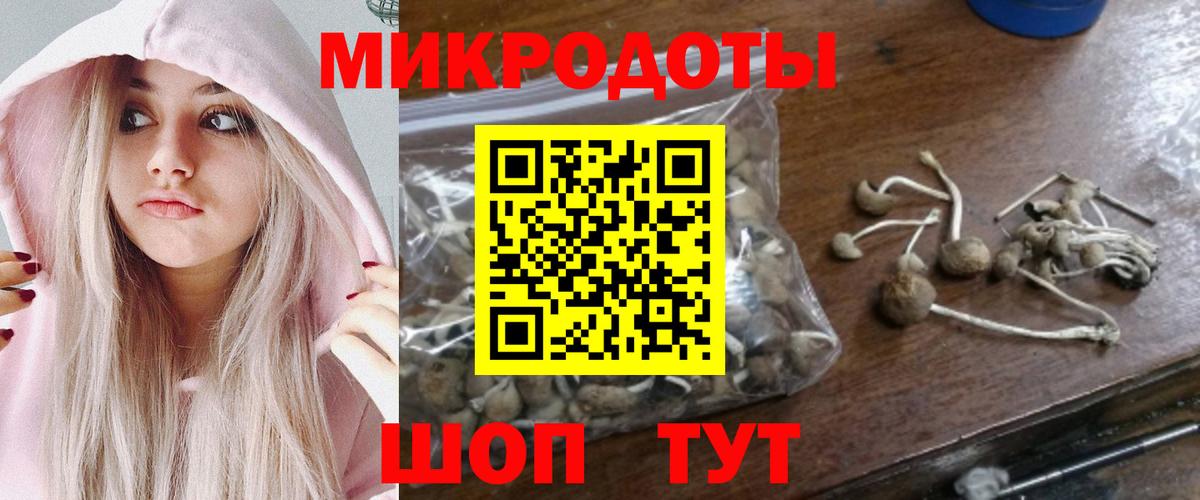 Галлюциногенные грибы прущие грибы  Вход с VPN  Татарск 
